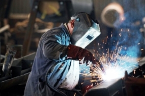 Manufacturing & Distribution  Ipocampus