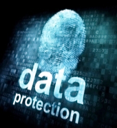 Forensic & Litigation  Ipocampus